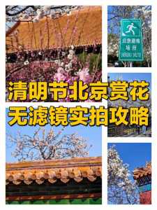 北京市属公园将开展六大板块40项春游活动,你知道其中的几个?